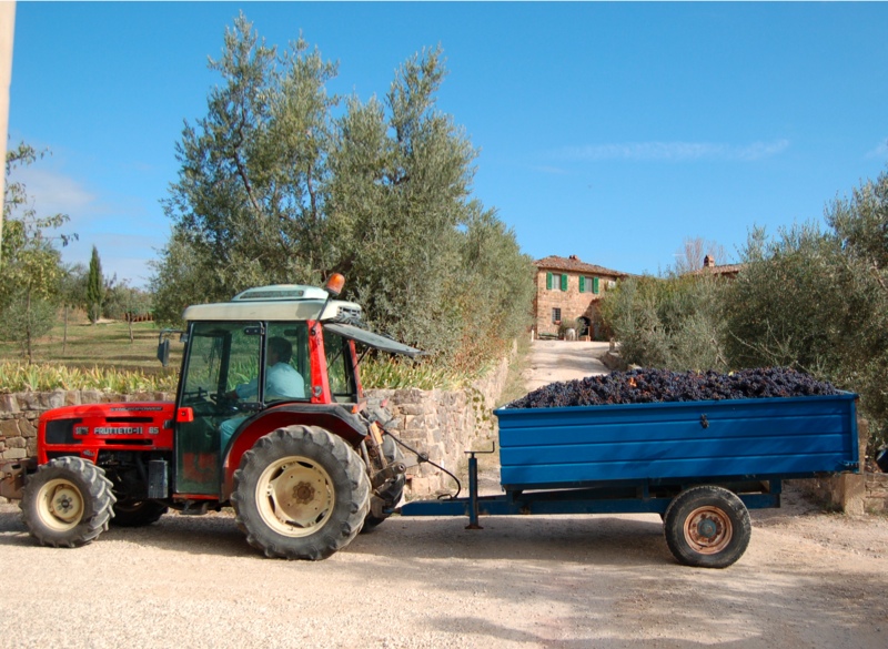 http://www.florencewinemerchants.com/images/tractor.jpg